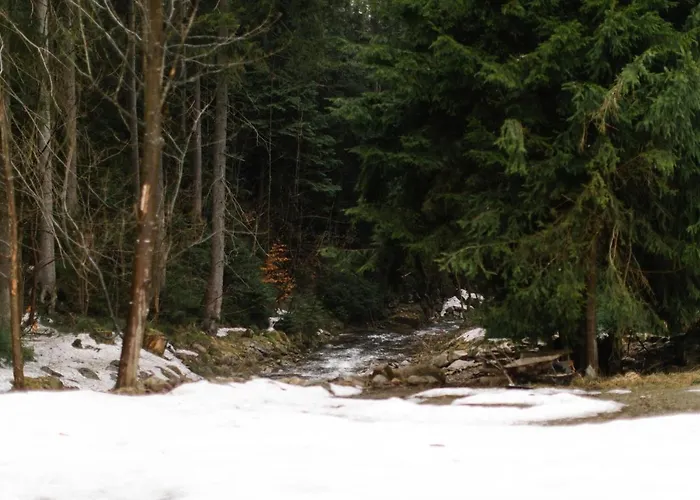 Luxury Apartment Trio Harrachov A.2